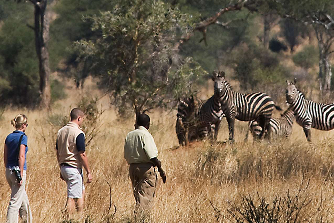 2 Days Tanzania Camping Safari to Tarangire and Ngorongoro