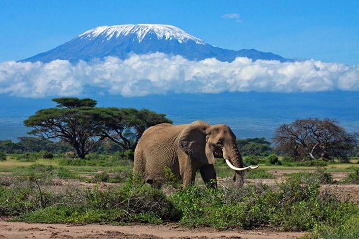 4 Days Tanzania Camping Safari to Tarangire, Serengeti and Ngorongoro Crater